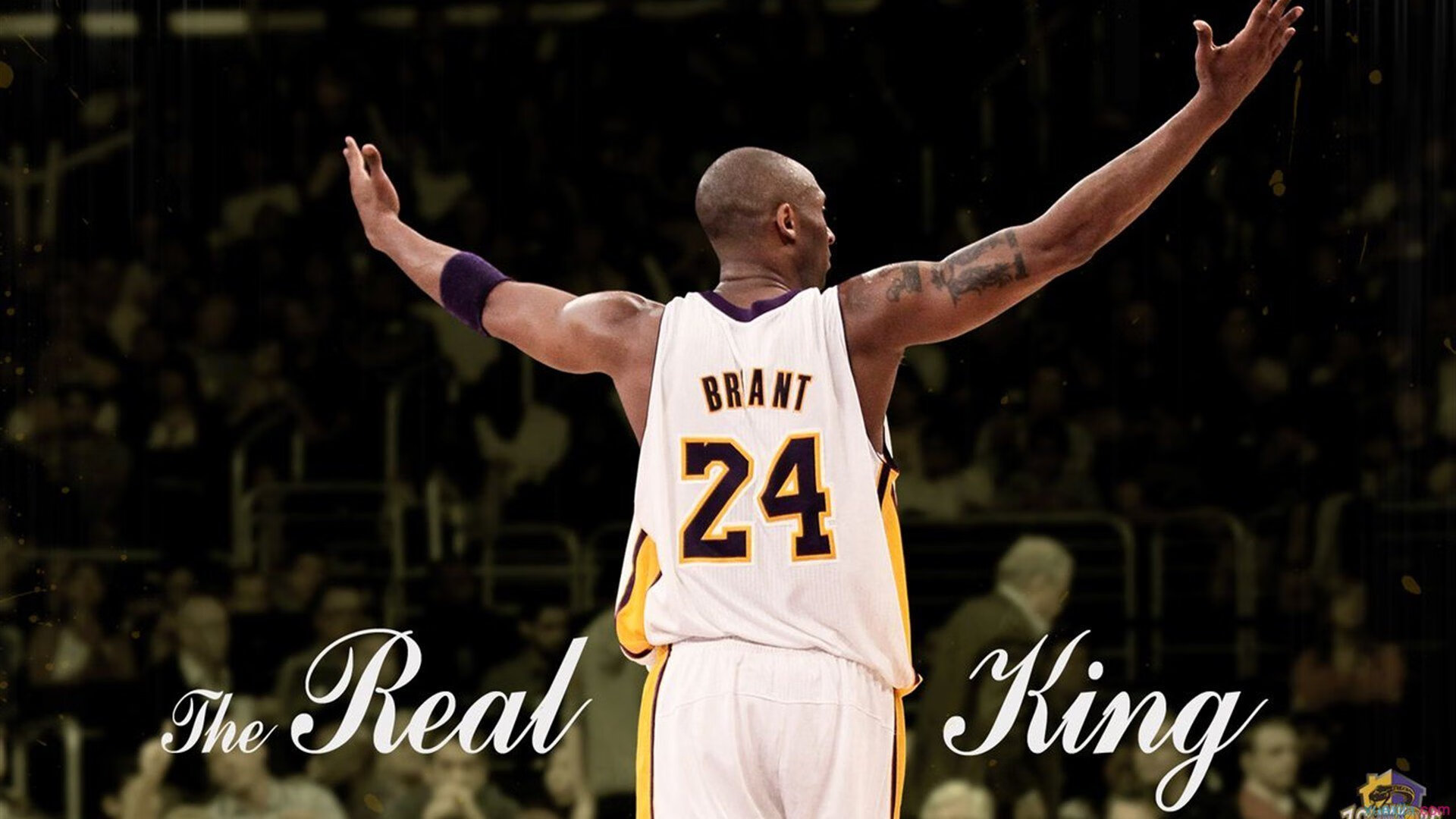 温斯坦展现冠军气质 决赛发挥均衡，温斯坦强度指标